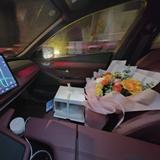 龟背赛跑头像
