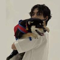 你不用长高啊头像