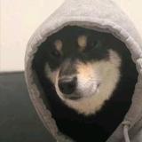 嚼炫迈✔的小青年头像