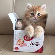 用户4618044438192的个人资料头像