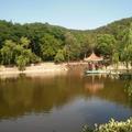 向阳院3902头像