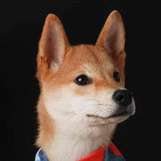 阿E的个人资料头像