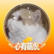 zdarcy的个人资料头像