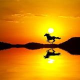 盛世中华421头像