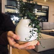 梨羽的个人资料头像