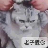 陆熟人头像