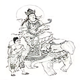 大飞142239头像