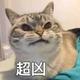街头最仔的靓头像