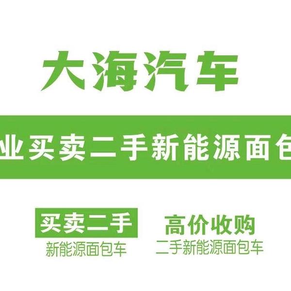 大海新能源二手车头像