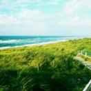 None爱学习47615的个人资料头像