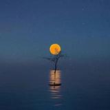 笔翰如流满人间头像