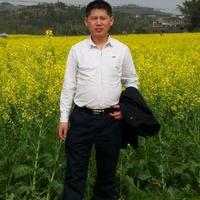 焱春二手汽车头像