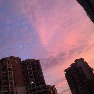 双娃音悦头像