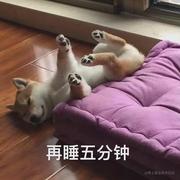 暴躁老佳的个人资料头像