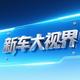 新车大世界头像