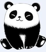熊猫竹的个人资料头像