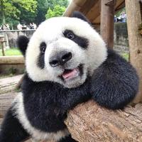 曙财头像