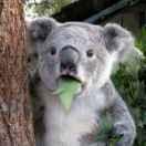 陈重名了44920的个人资料头像