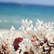 李配先的个人资料头像