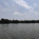 乐观的船帆Q2头像