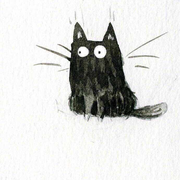 zero就是我40290的个人资料头像