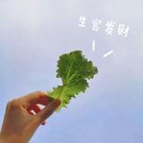 青້໌ᮩ柠ꦿ᭄࿐头像
