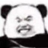 1317026346181779458头像