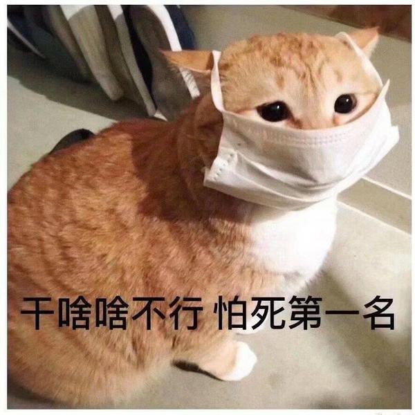 360度全景永久单车头像