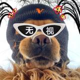 无愁河边浪荡啊头像