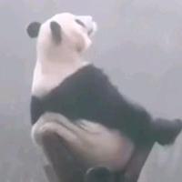 蒙古上单苞谷晓夫头像
