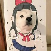 用户5696651236914头像