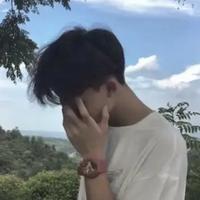 友爱枫叶rvt头像