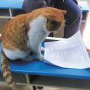 bird爱学习的个人资料头像