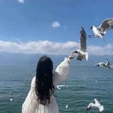 游乐场那颗榆树头像