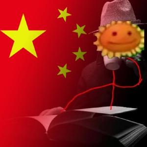 大玉头像