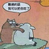 _zelin42头像