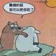 _zelin42头像