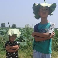 庸人自扰888666888头像