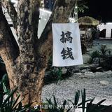 小浪127头像