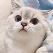 Subepy的个人资料头像