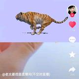 用户3019873250567头像