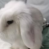 用户908877361907头像