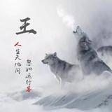 王亮V813头像