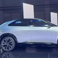 自由柳叶w1z头像