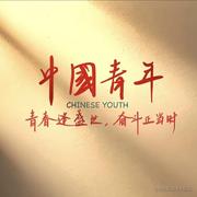 Codingccc的个人资料头像