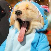 用户9815051513282的个人资料头像