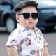 不哆嗦也掉毛 · 奥迪Q5L车主·车龄2年头像