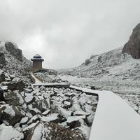 顶级香瓜Gox头像