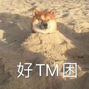 用户2182950814525的个人资料头像