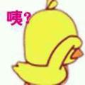 Mr辉195747151头像